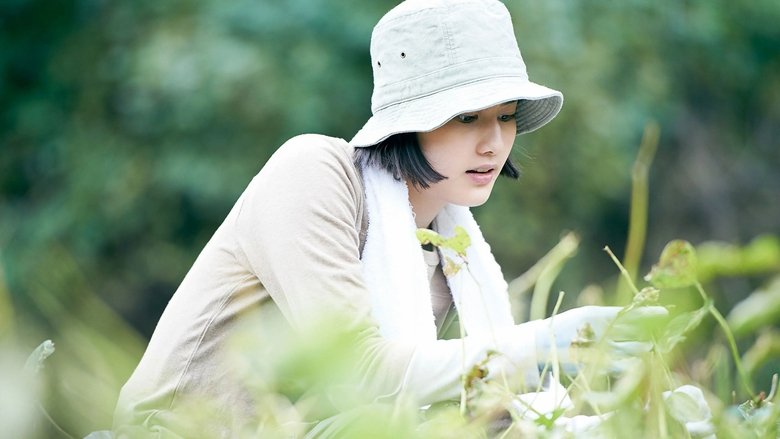 リトル・フォレストのワンシーン