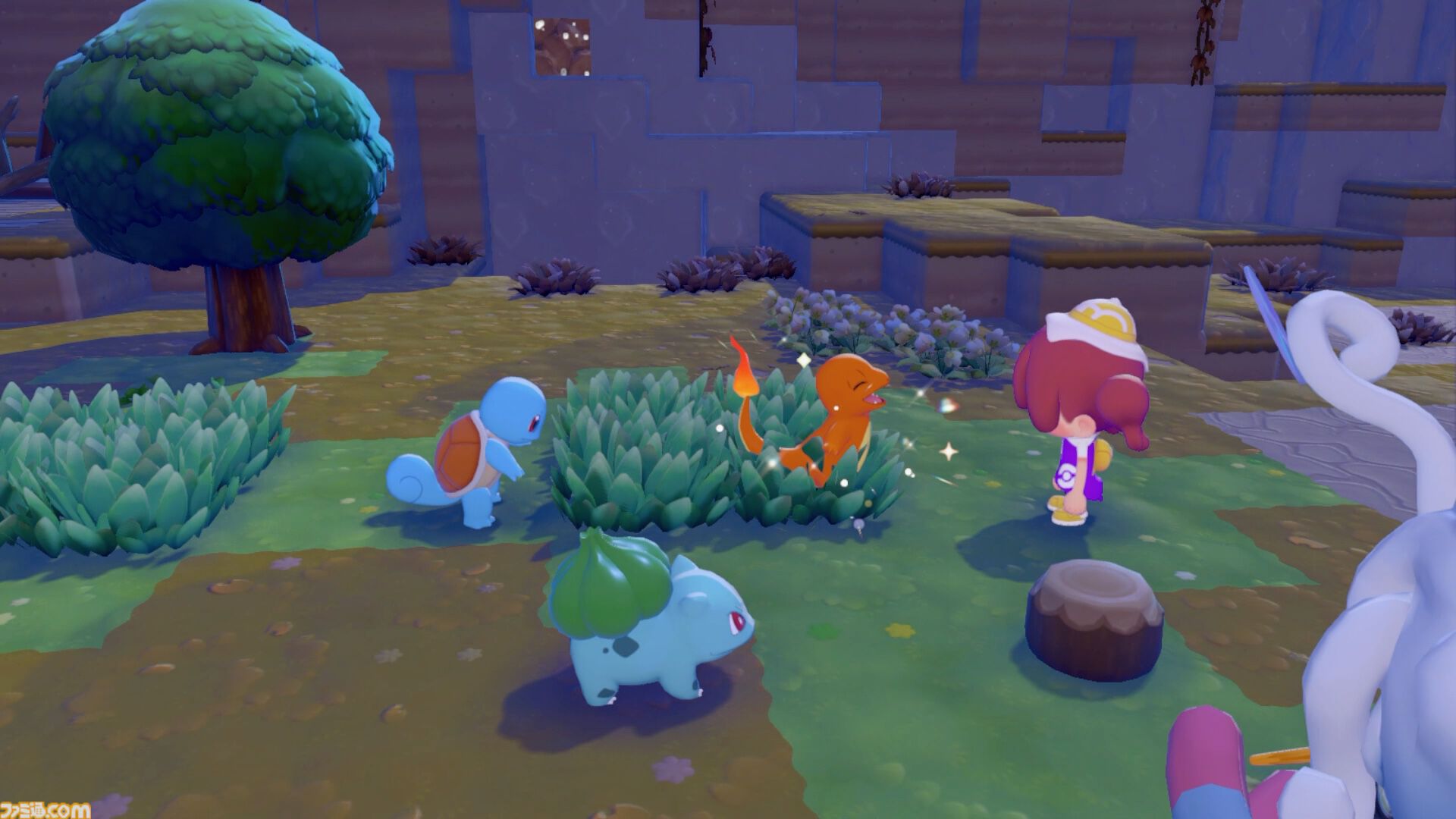 【ぽこあポケモン】素材集め効率化ガイド!序盤から使えるテクニックまとめ 2 ぽこあポケモン 素材集め