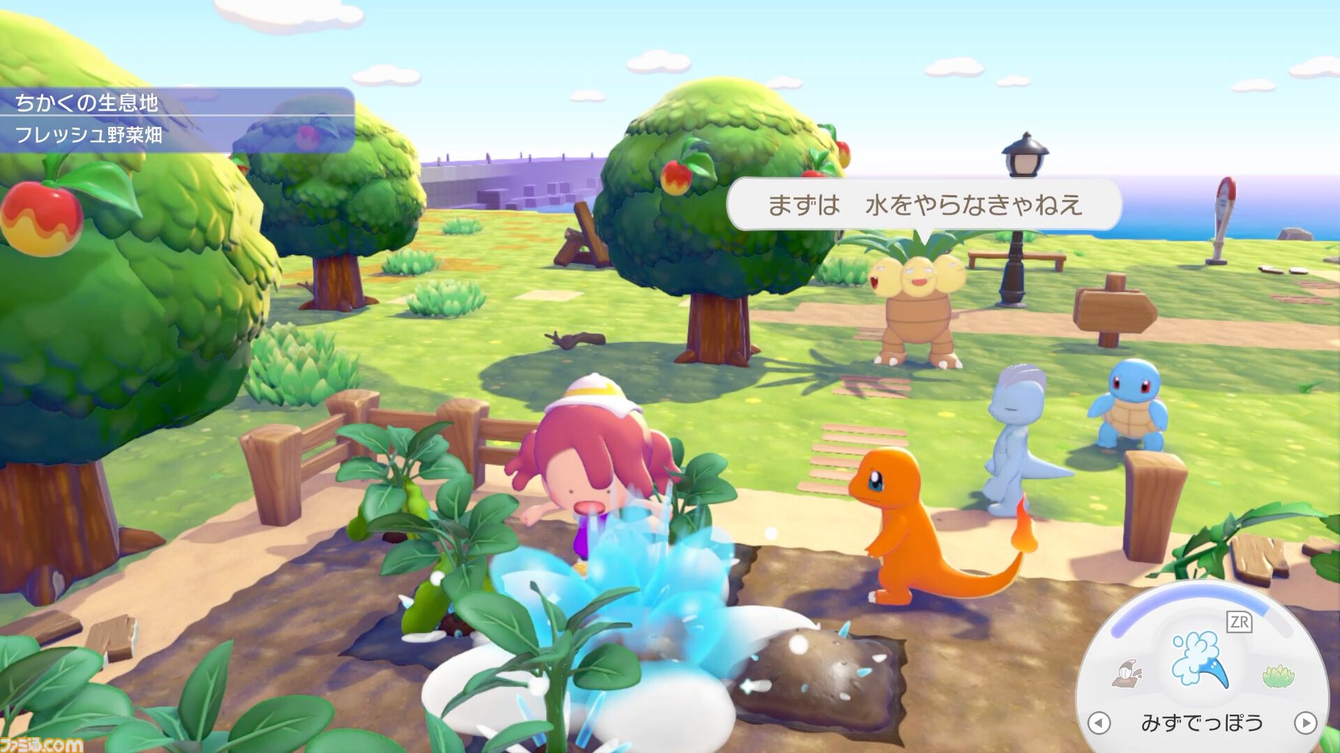 ぽこあポケモン ポケモンとの会話
